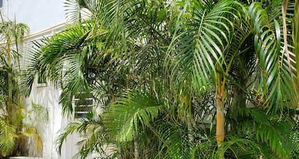 Vacation Apartment with 2 Bedroom at Grand SunValley Residences