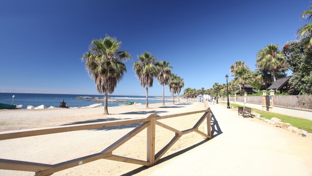 Ein Strand mit Palmen, einem Holzzaun und blauem Himmel.