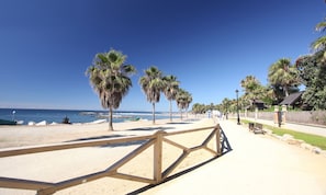 Een strand met palmbomen, een houten hek en een helderblauwe lucht.