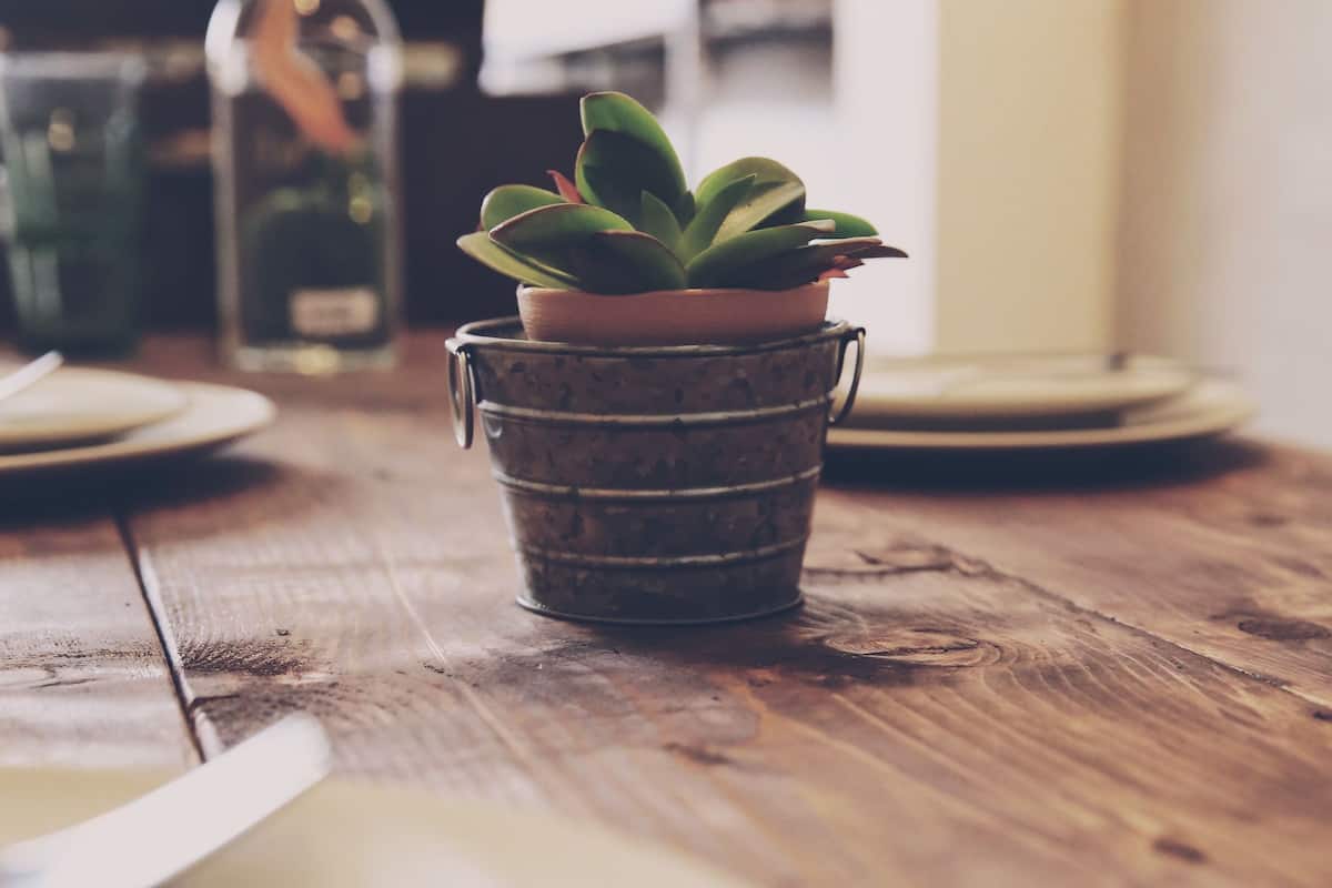 A rustic wooden table with a metal bucket holding a potted plant, a bottle, and plates.