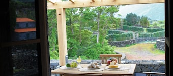 Pico Formoso Vínea Lava Azores