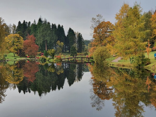 A serene park with a pond, a wooden bridge, and autumn foliage.