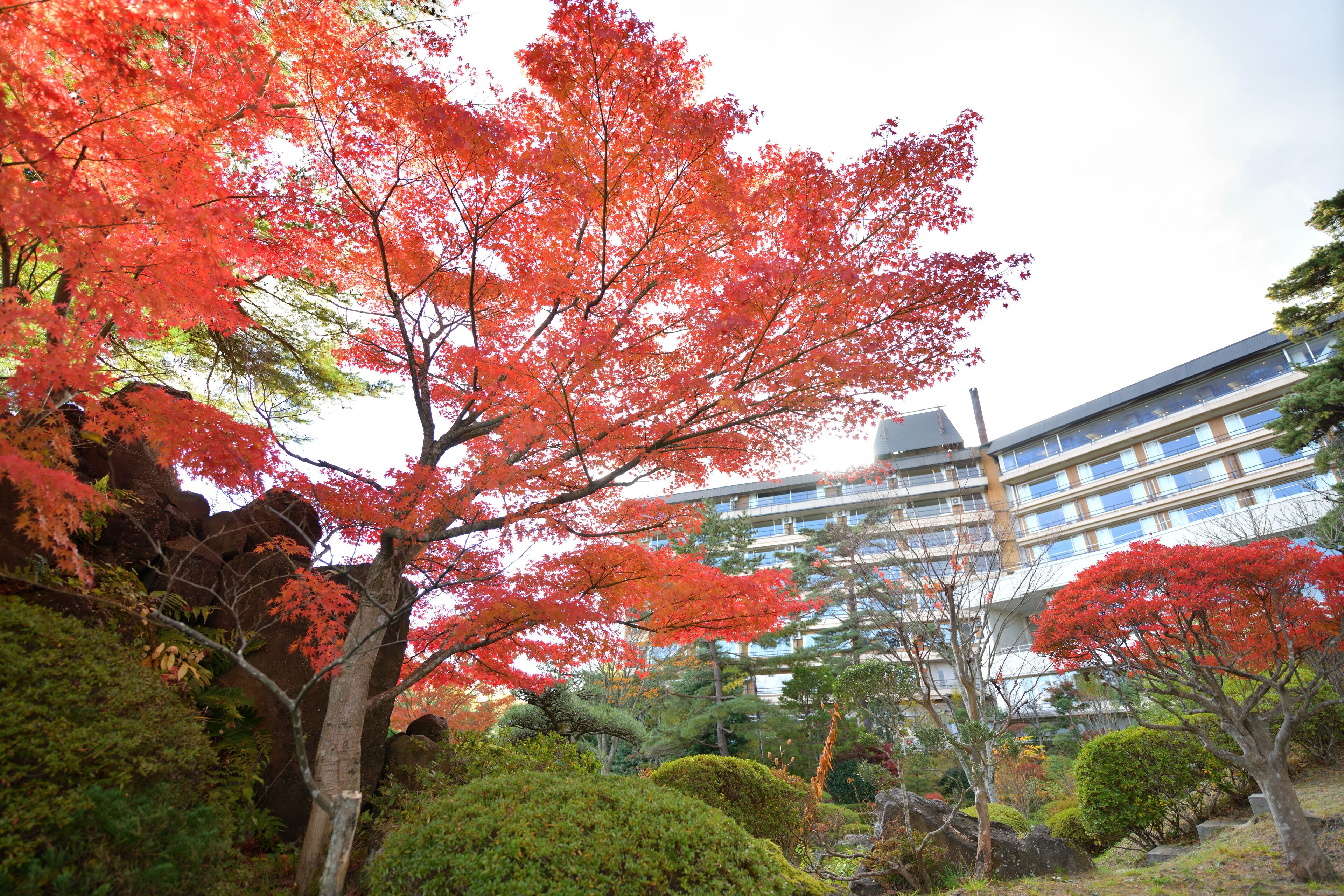A building with a modern architectural design, surrounded by lush greenery and autumn-colored trees.