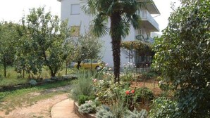 A residential area with a white house, a palm tree, and various plants.