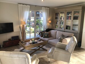 TV connectée, cheminée, livres, médiathèque