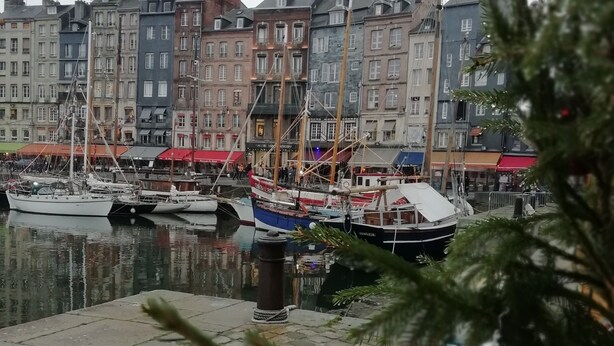 Un port où sont amarrés des bateaux, avec une rangée de bâtiments en arrière-plan.