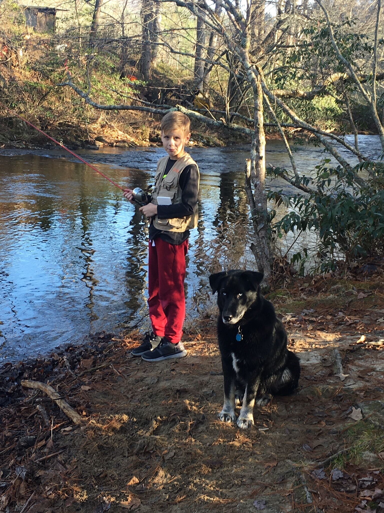 A person standing by a river with a dog.