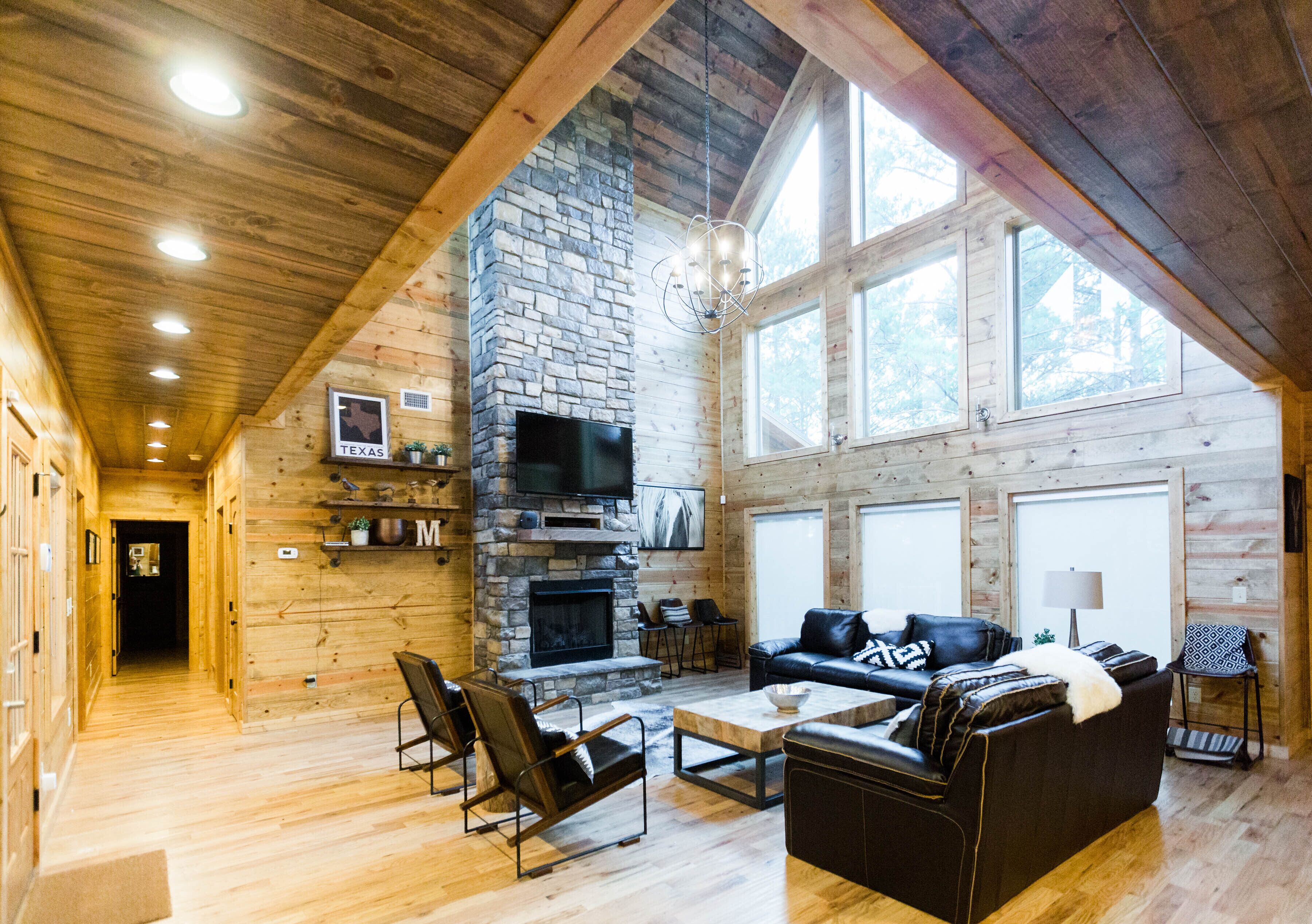 Télévision, cheminée, jeux vidéo, lecteur de DVD