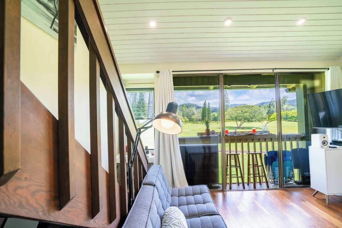 电视、DVD 播放器