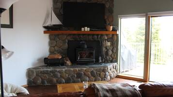 Smart TV, chimenea, videojuegos y reproductor de DVD