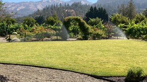 A well-maintained lawn with a sprinkler system, surrounded by trees and a mountain range in the background.