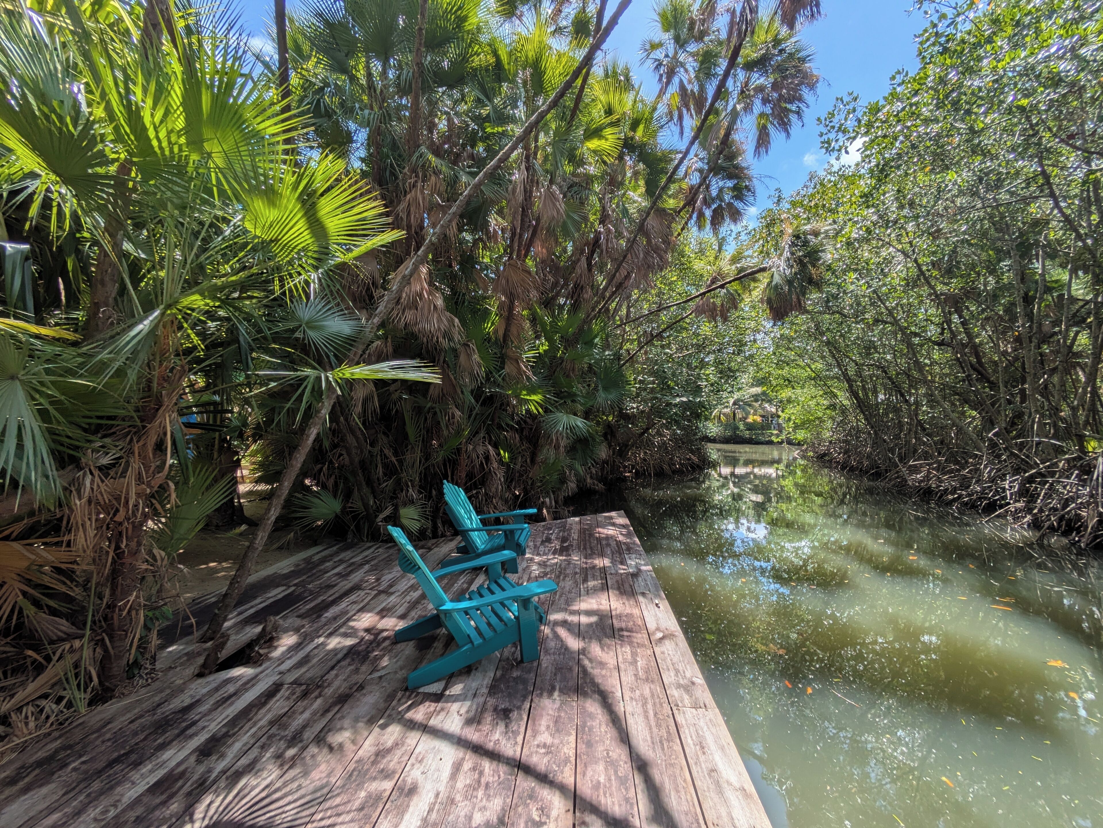 A wooden dock with chairs, surrounded by dense mangrove trees and a calm water body.
