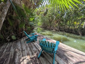 Property grounds - Living in the treetop with amazing views (Maya Beach, Placencia)