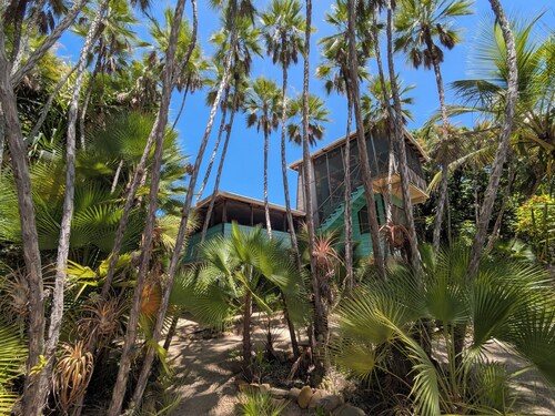 Living in the treetop with amazing views