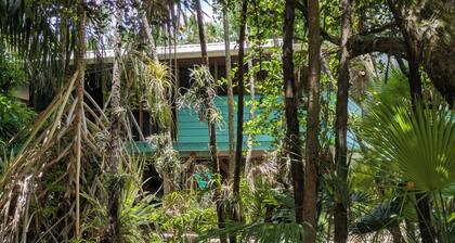 Living in the treetop with amazing views