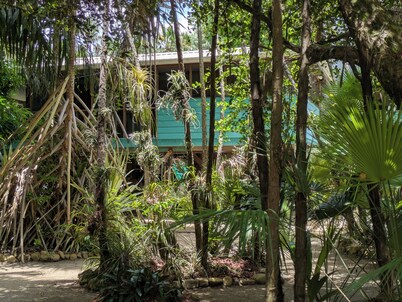 Living in the treetop with amazing views