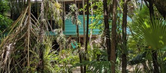 Living in the treetop with amazing views