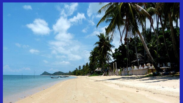 Pemandangan dari properti