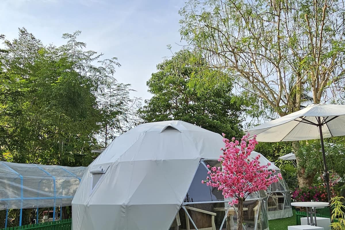A geodesic dome structure surrounded by a green fence, with a pink flowering tree in the foreground.