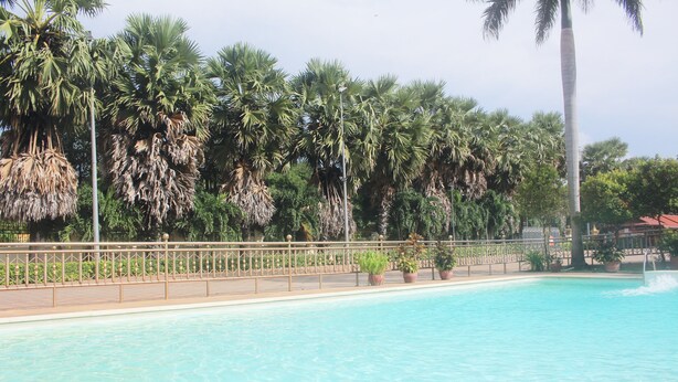 A swimming pool with a metal railing, surrounded by palm trees and potted plants. - 7 Makara Hotel (Kampong Cham)