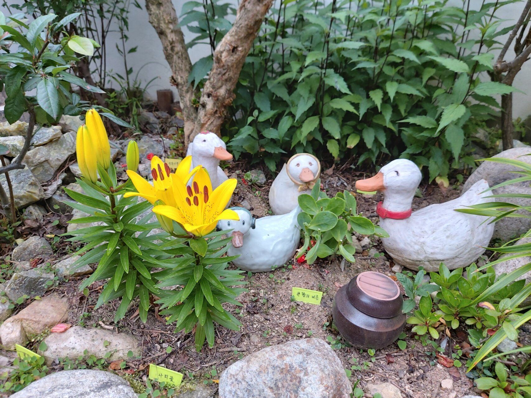Un jardin agrémenté de canards décoratifs, d’une fleur jaune et de rochers.