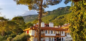 Vista a la montaña