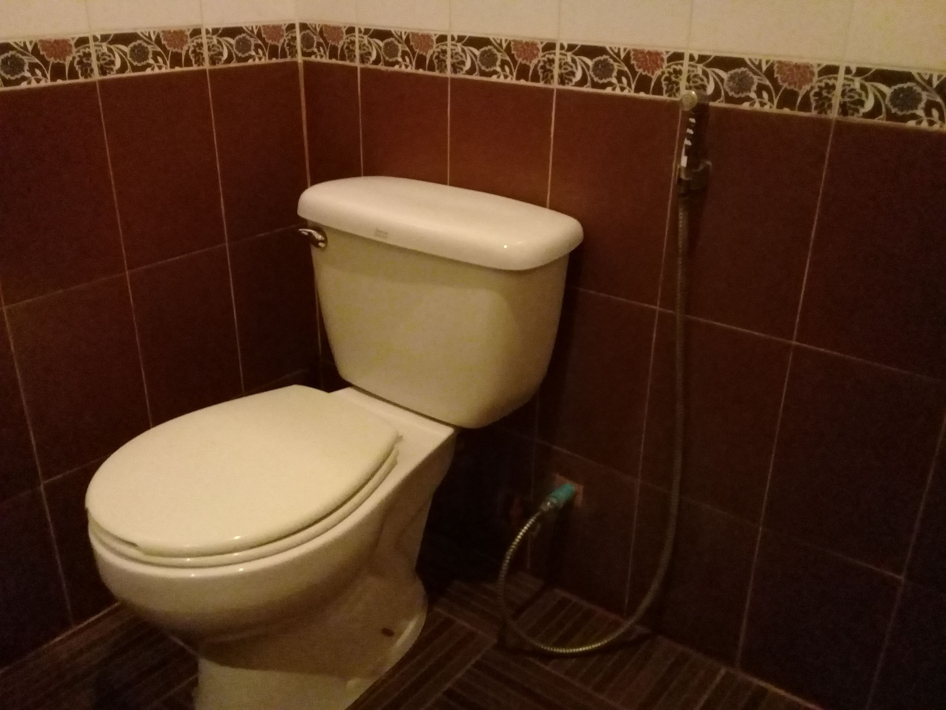 A toilet with a white seat and tank, positioned against a wall with brown tiles and a decorative border.