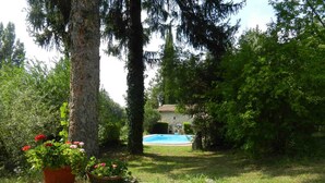 Un patio trasero con piscina, rodeado de árboles y plantas en macetas.