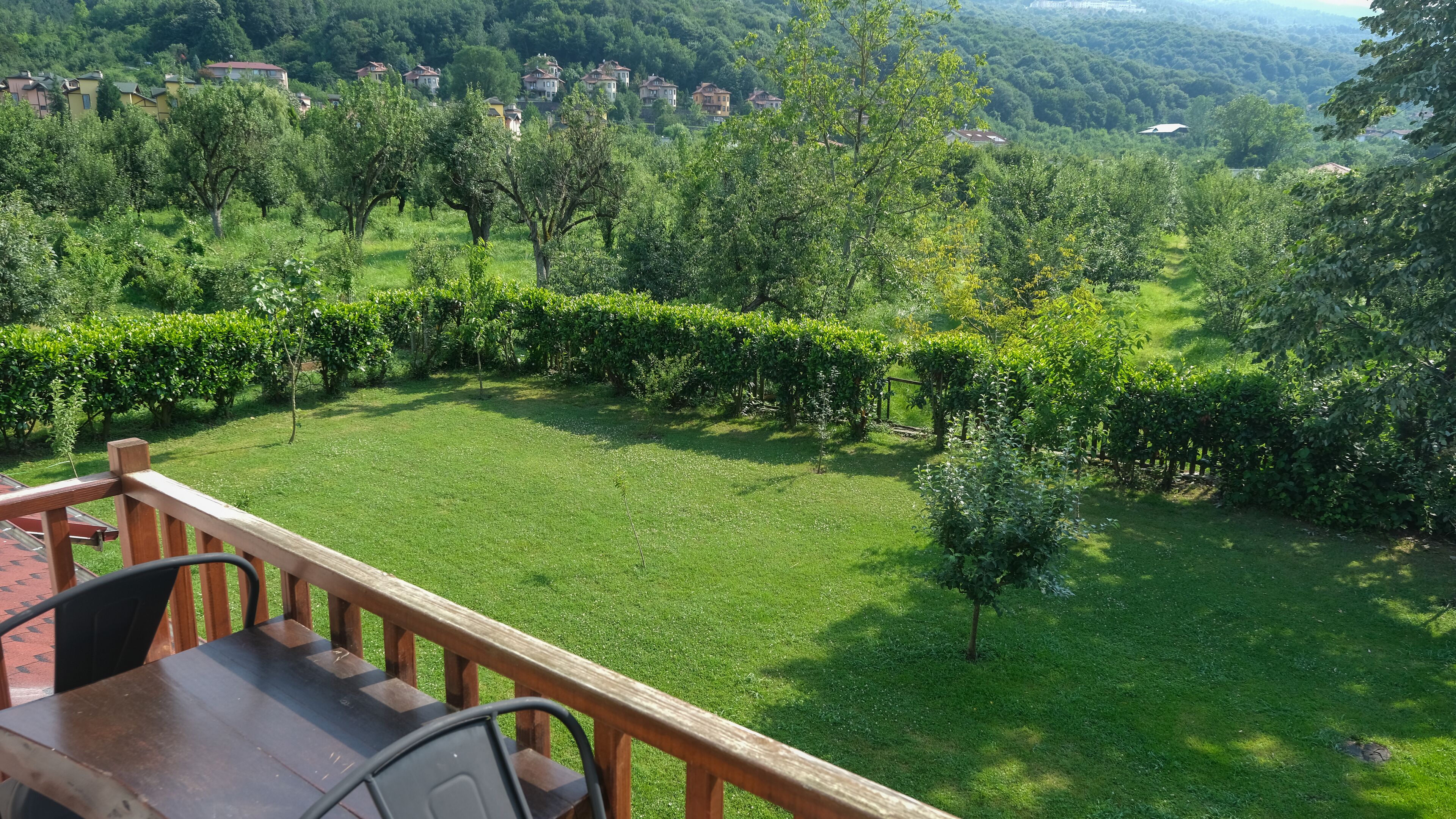 A garden with a wooden deck and a view of a residential area.