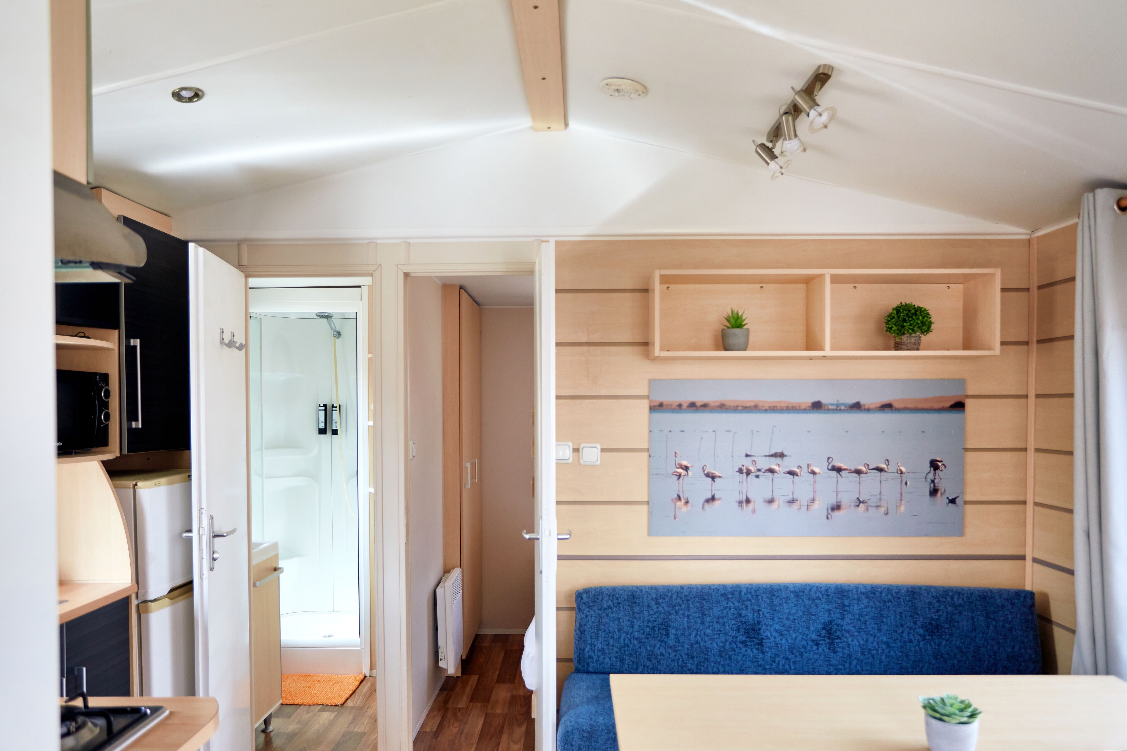A compact room with a kitchenette, a seating area with a blue couch, a dining table, and a wall-mounted shelf with plants.