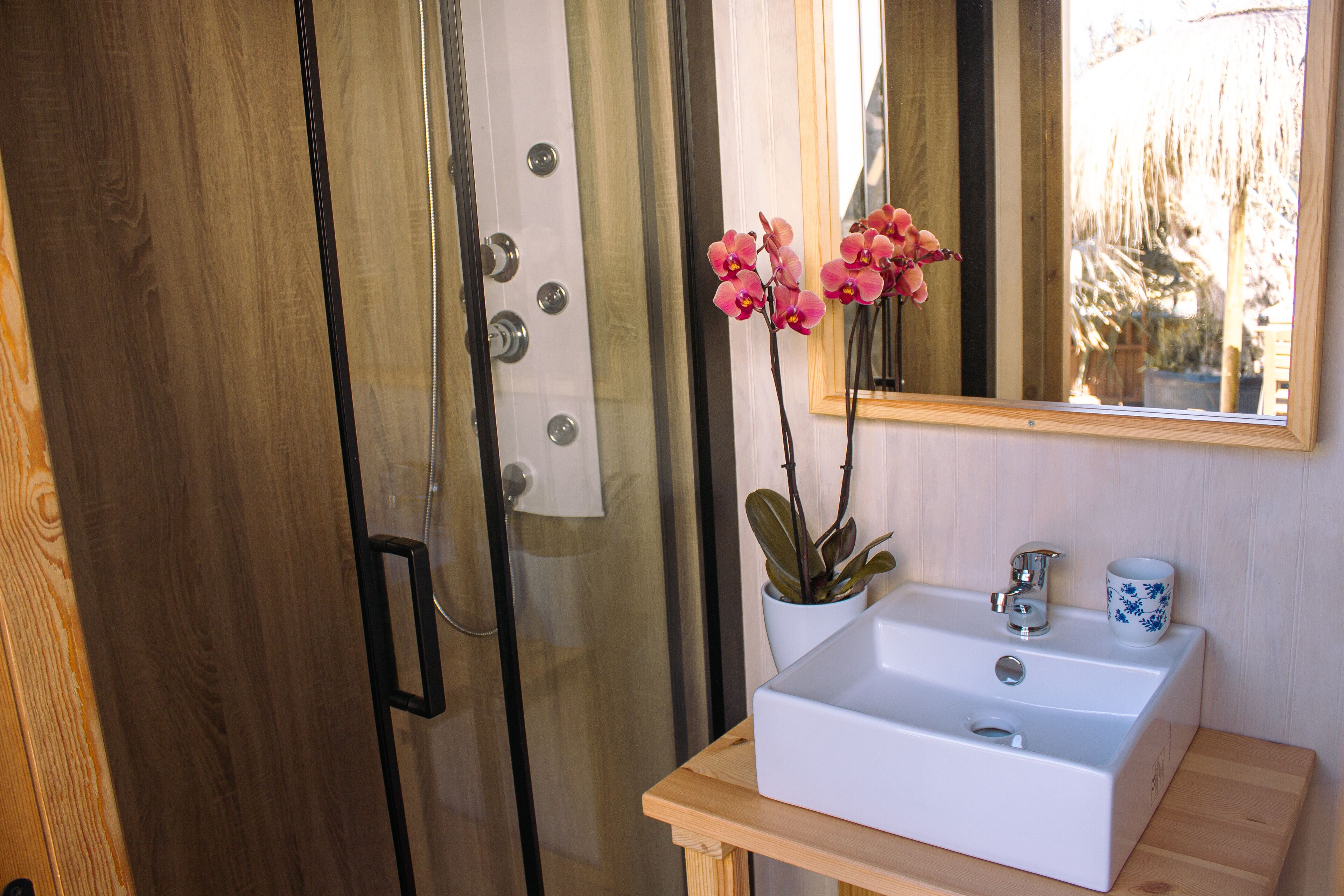 A bathroom with a wooden door, a white sink, a mirror, and a potted orchid.