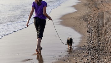 Playa en los alrededores