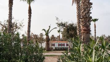 Una casa blanca con contraventanas y techo rojos, rodeada de altas palmeras y vegetación.