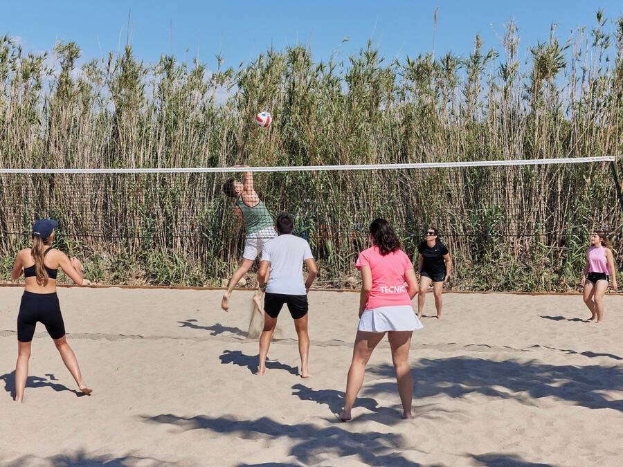 Eine Gruppe von Menschen spielt Strandvolleyball am Sandstrand, im Hintergrund hohes Gras.