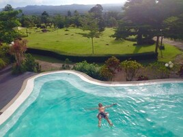 A swimming pool with a curved edge, surrounded by a landscaped garden with various trees and shrubs.