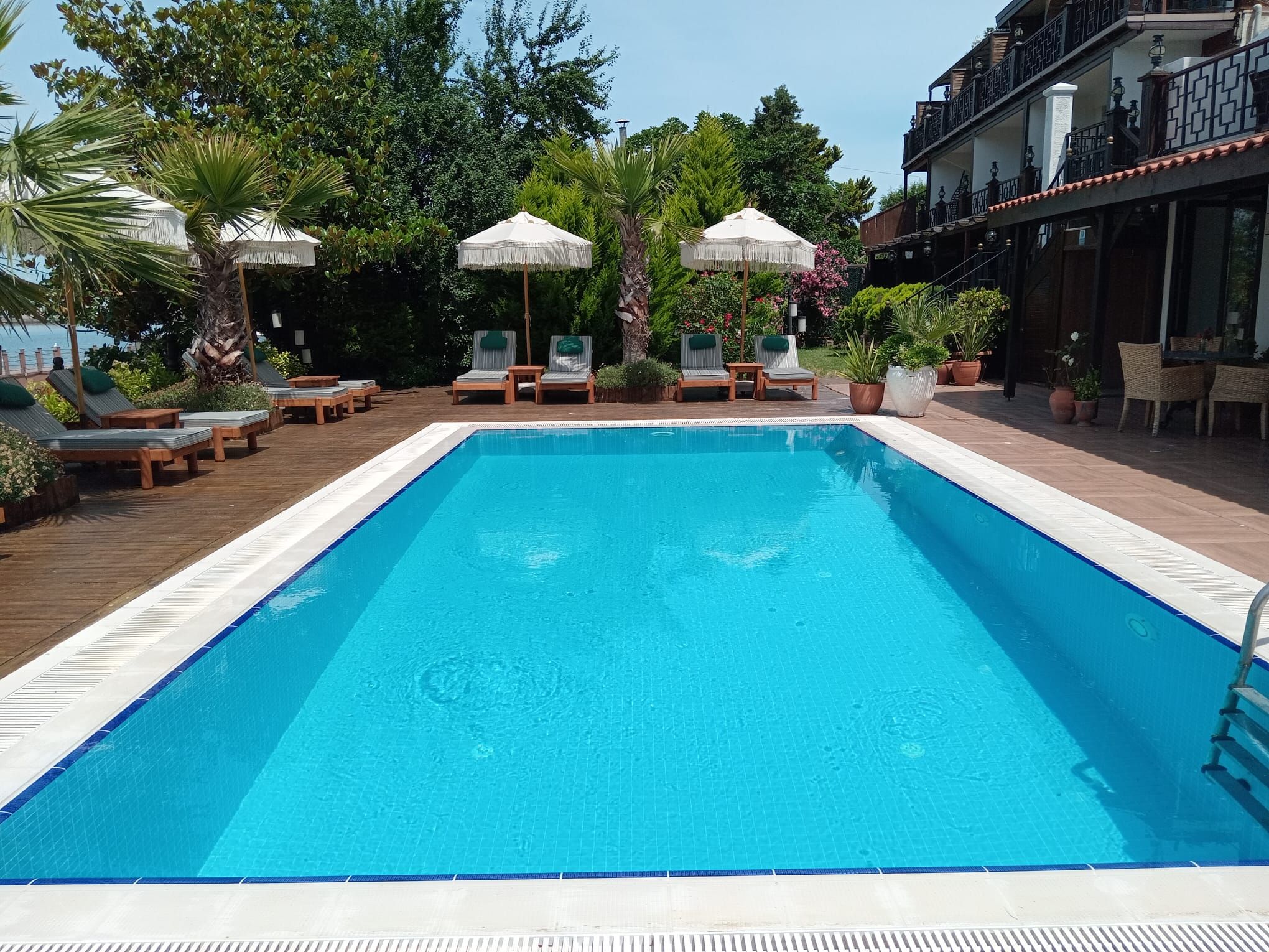 Una piscina al aire libre, sombrillas, sillones reclinables de piscina