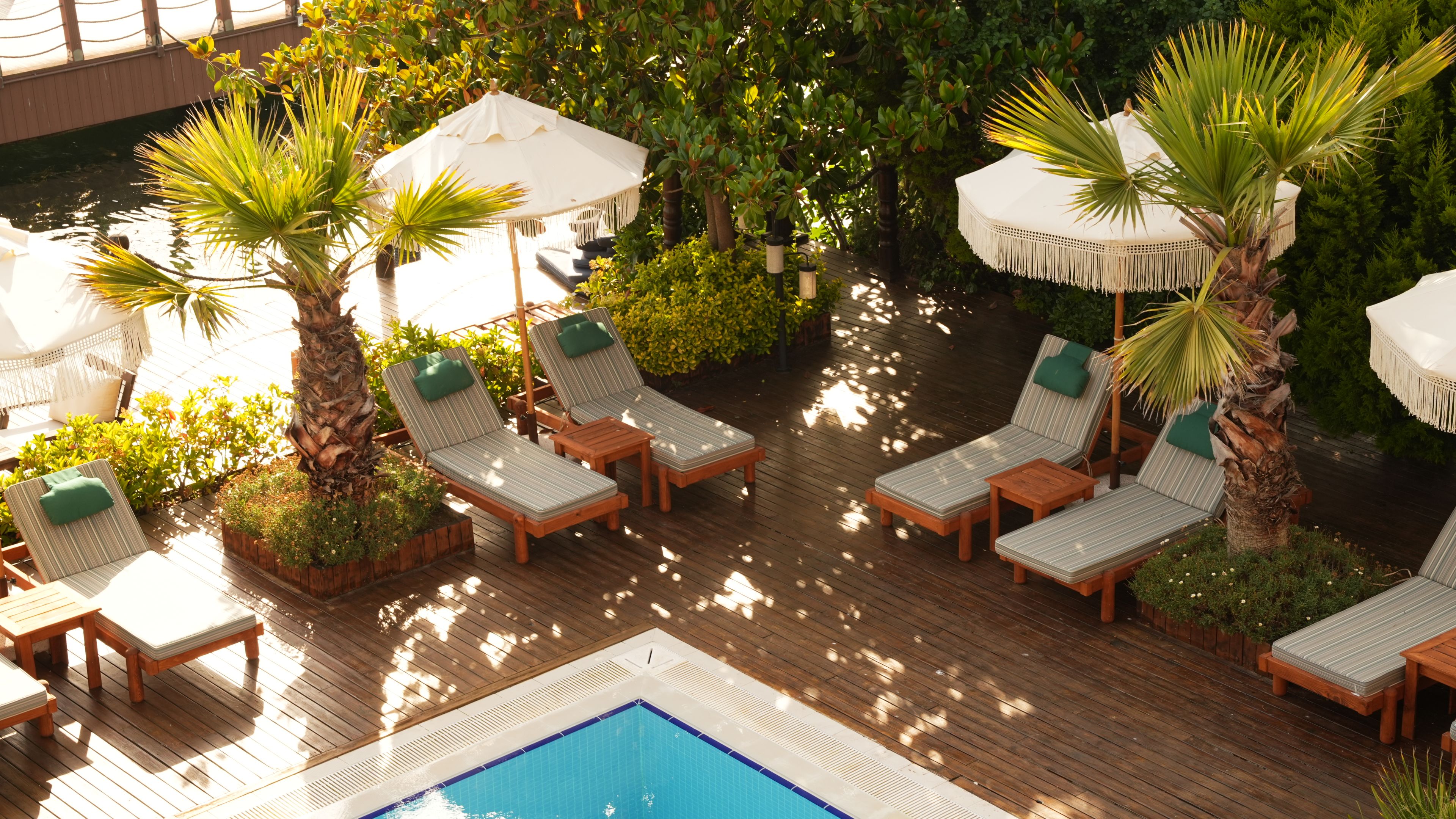 Zona junto a la piscina con sillones de descanso, sombrillas y palmeras.