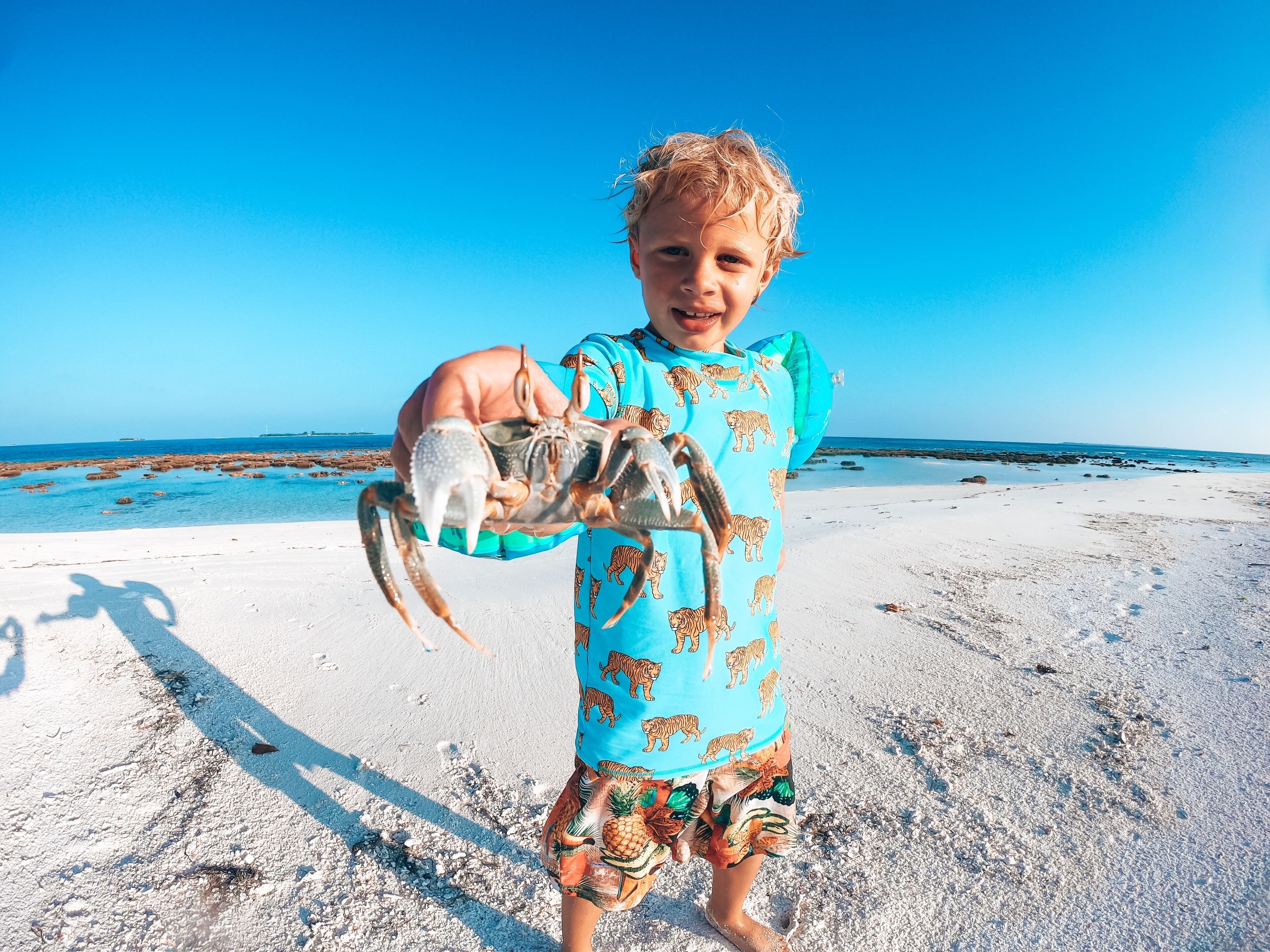 A child holding a crab on a sandy beach with a clear blue sky.