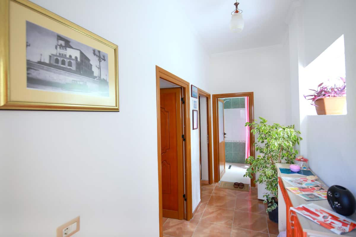 Un pasillo con una fotografía enmarcada en la pared, una puerta de madera, una planta en maceta y una mesa con revistas y un objeto negro.