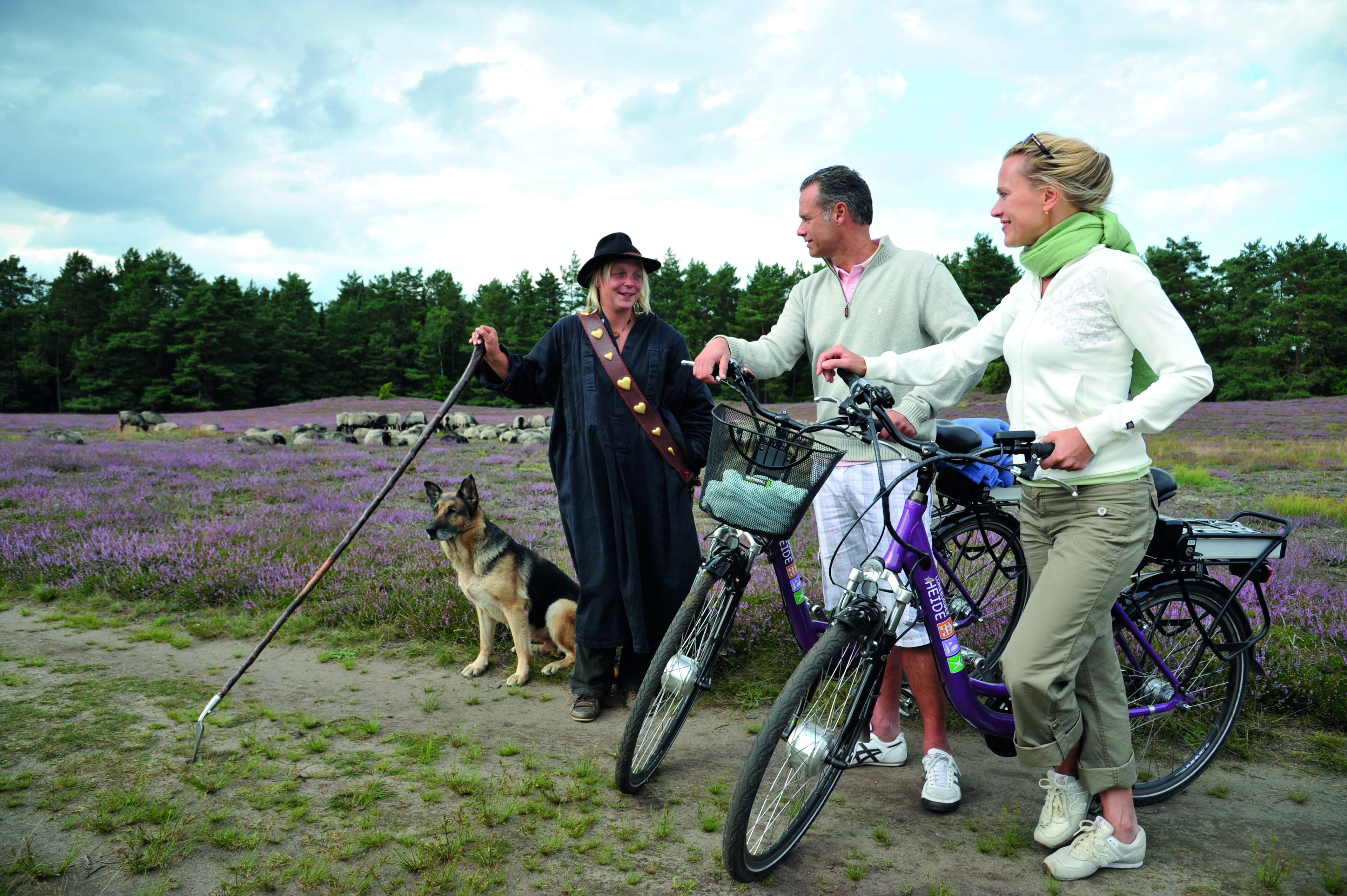 A group of people with bicycles and a dog in a field with purple flowers.