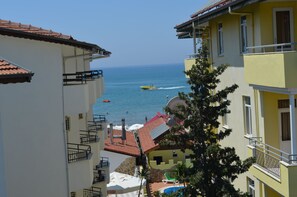Terras