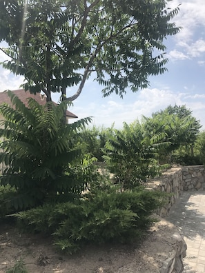 Interior entrance - Yamayka Beach Resort (Qonaev)