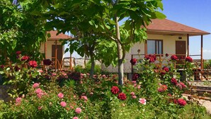A building with a red roof and beige walls, surrounded by a garden with various flowers and a tree.