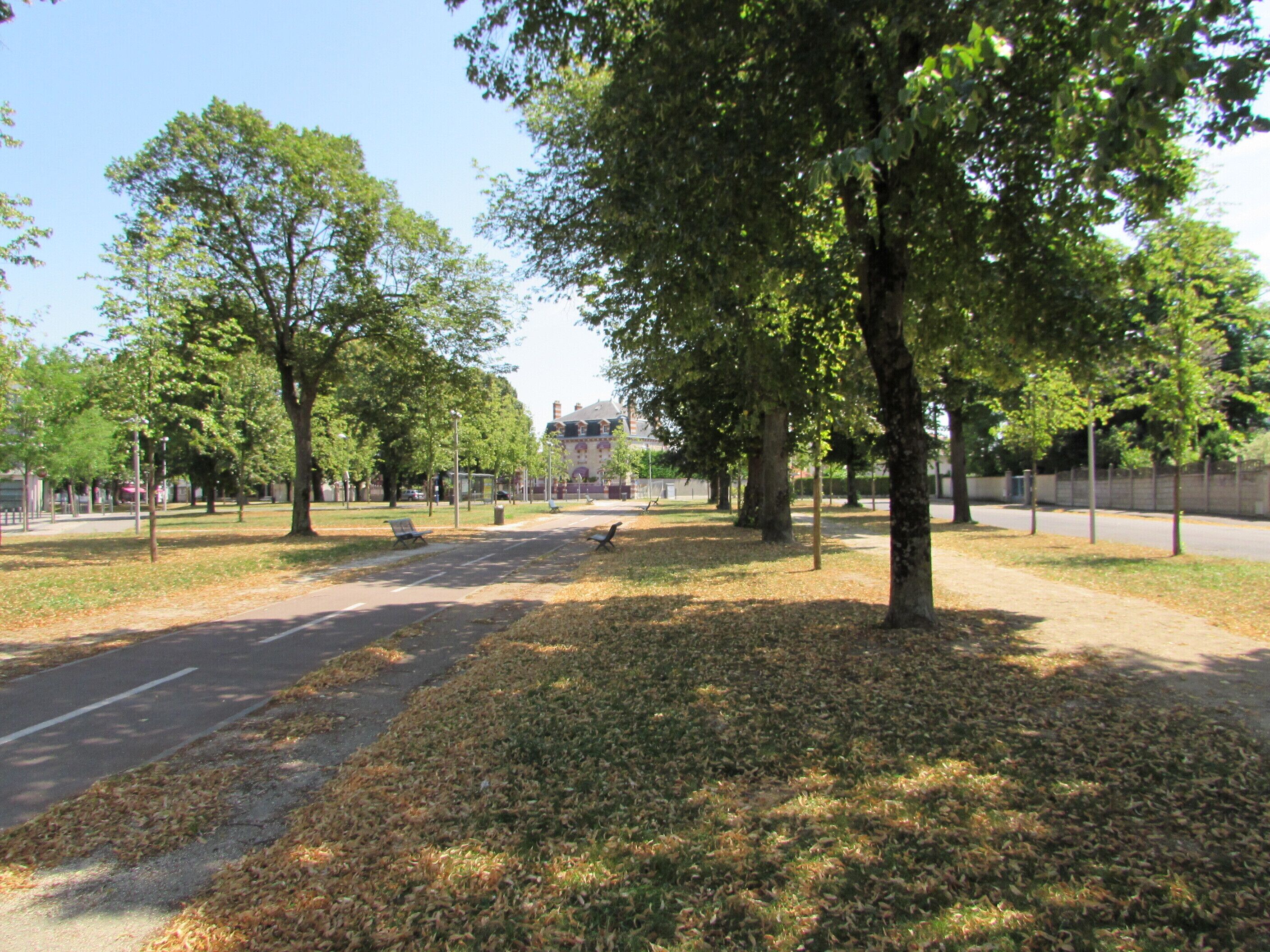 A park with trees, a pathway, and a building in the background.