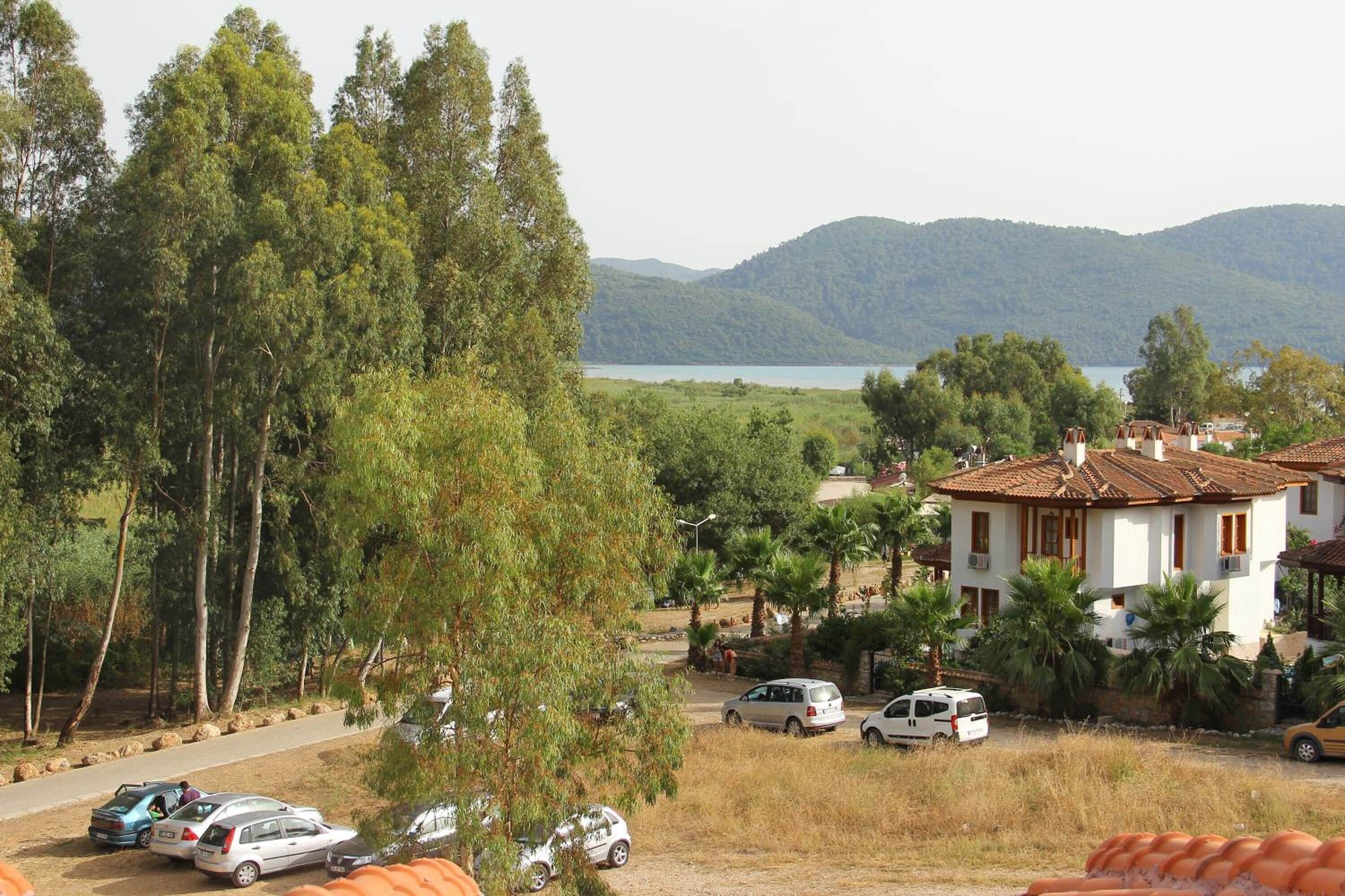 A residential area with a house featuring a tiled roof, surrounded by trees and parked cars.