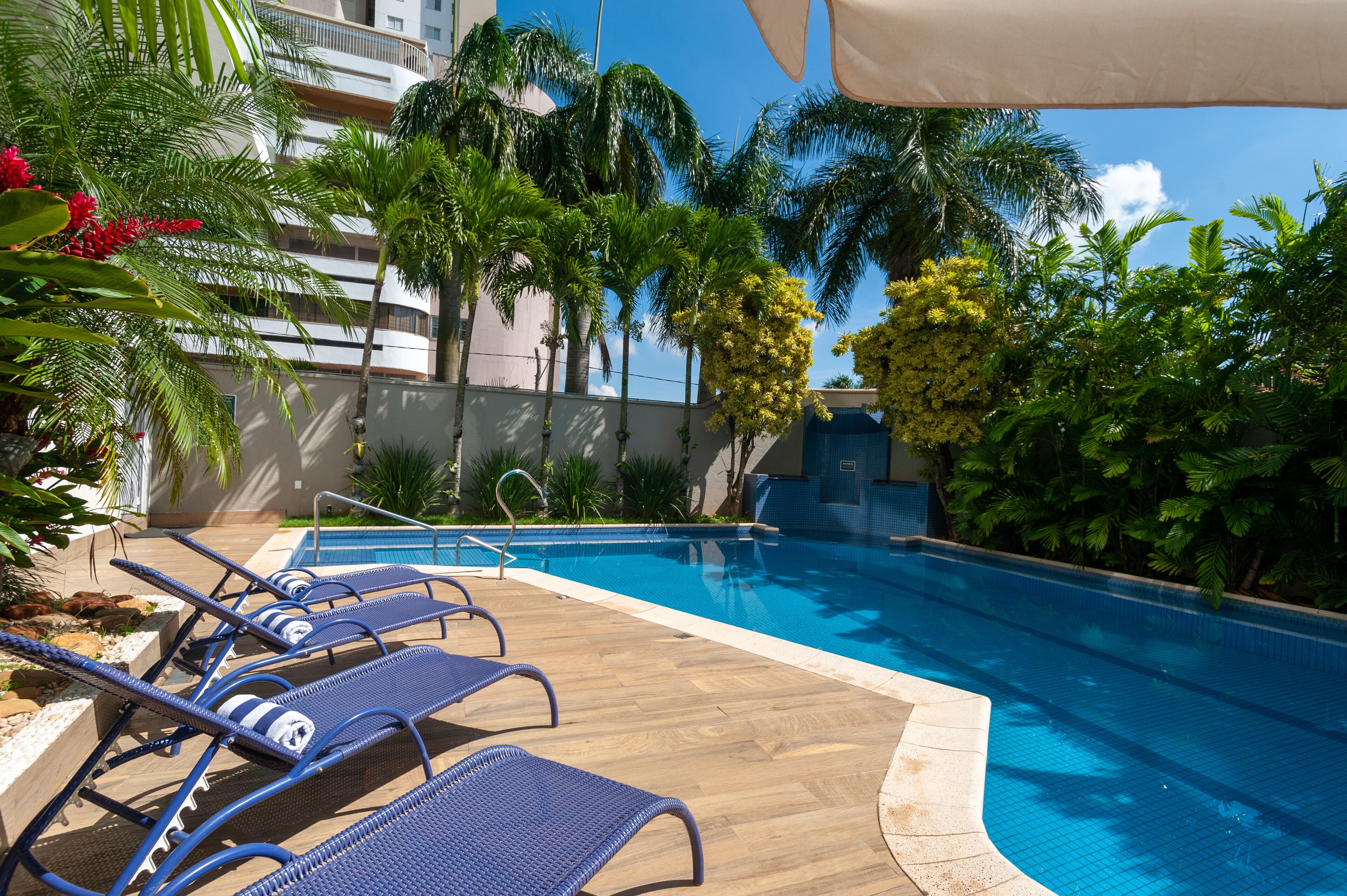 Outdoor pool, open 9:00 AM to 9:00 PM, pool umbrellas, sun loungers