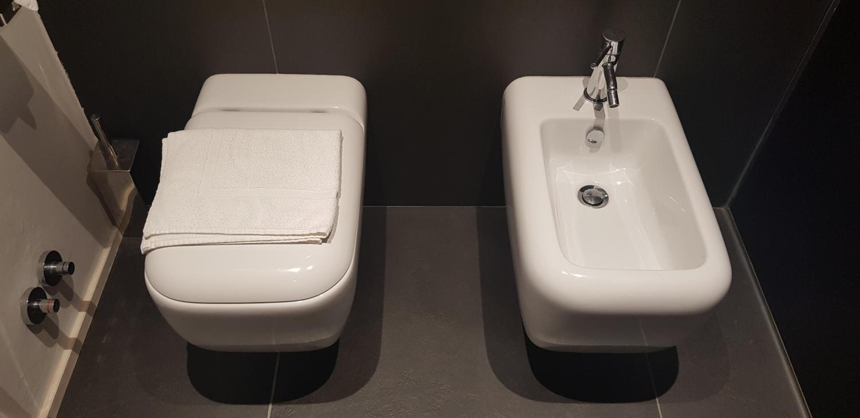A modern bathroom with a toilet and bidet.