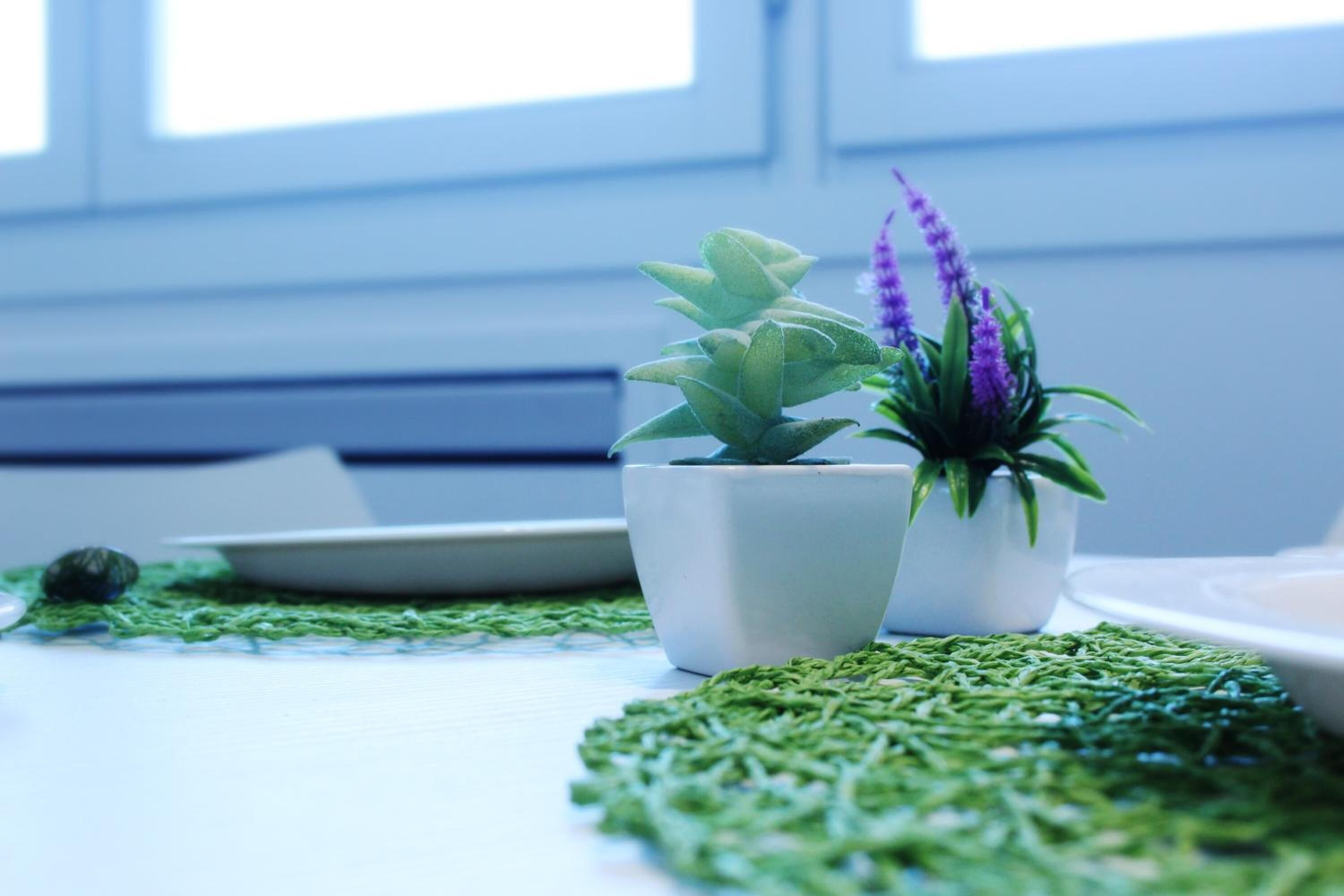 Two potted plants on a table with a green mat.