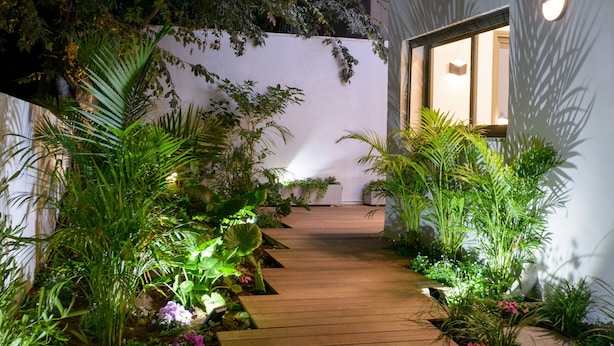 Uma passarela de madeira leva a um edifício de design moderno, cercado por vegetação exuberante e plantas floridas.