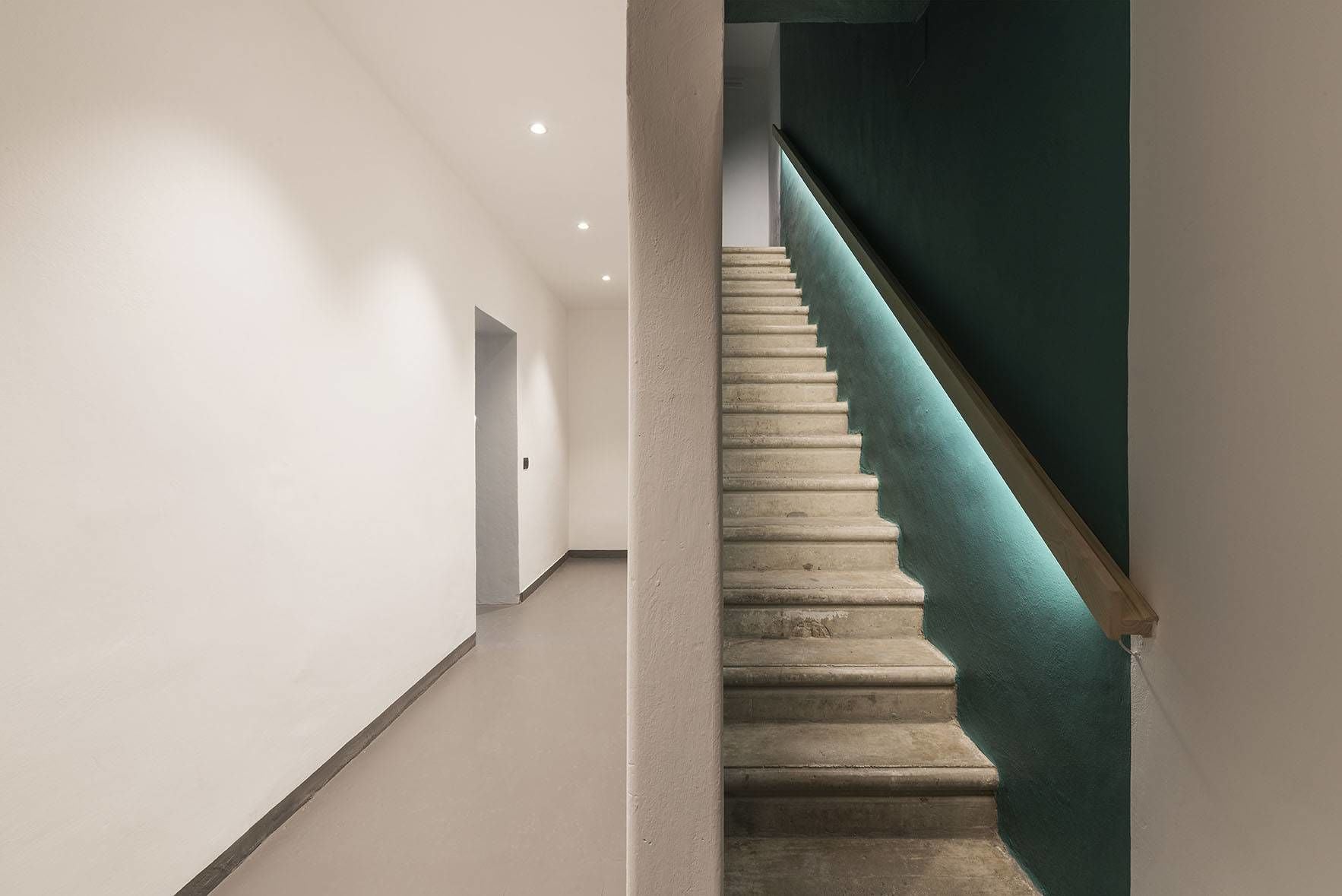 Foto - Mòsì Firenze